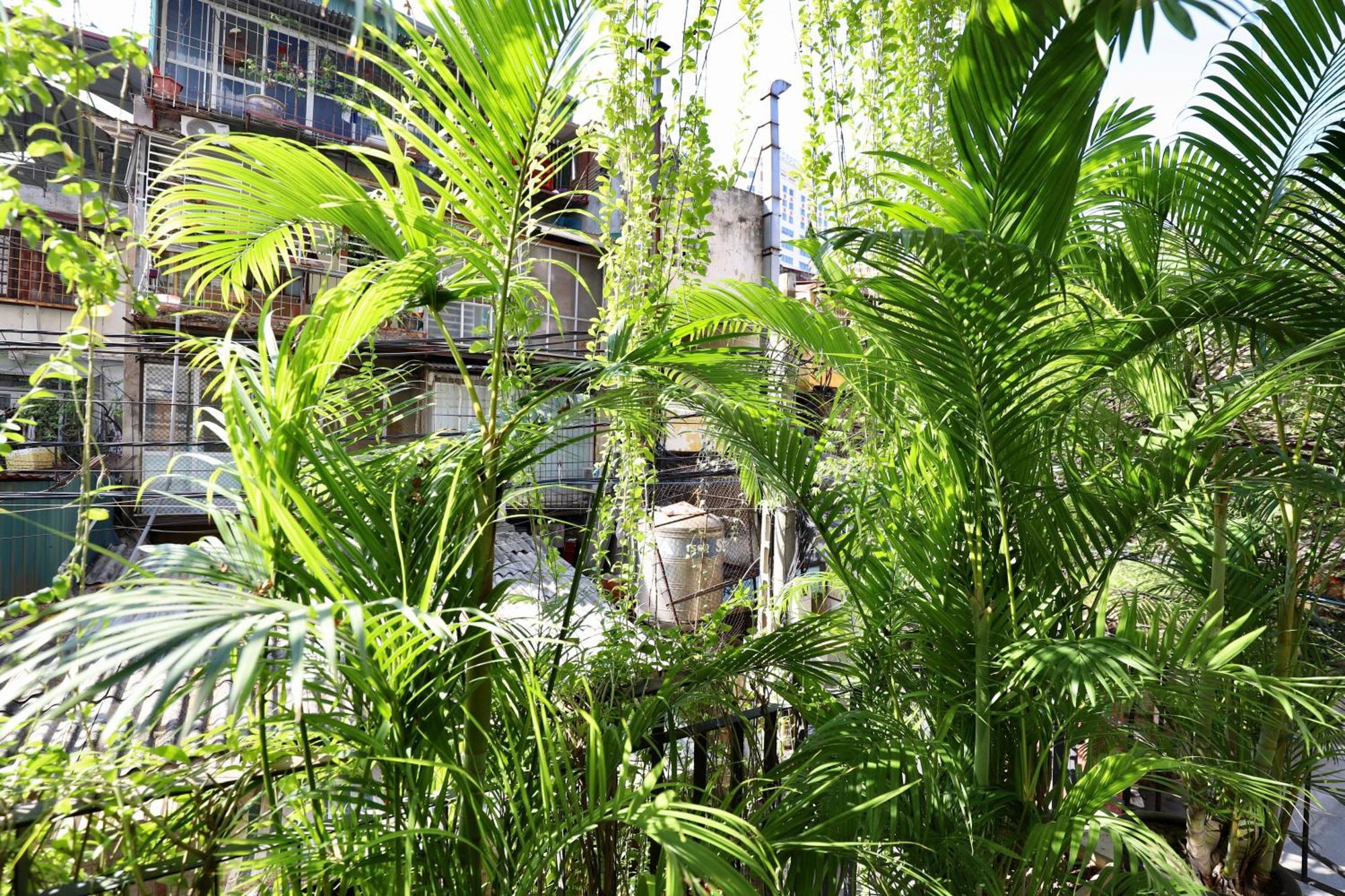 Апартаменты The Garden House Ханой Экстерьер фото